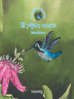 cover image of El pájaro mosca